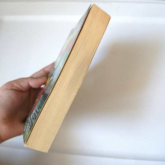 The Dragon King Fantasy Paperback Book - Picture 5 of 8